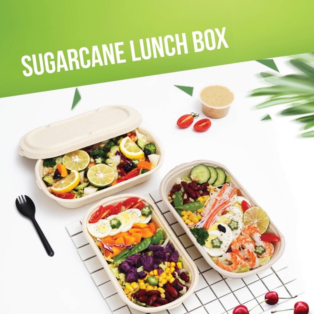 BH-01 850ML SUGARCANE UNBLEACHED SNACK BOX (50'S X 10PKT)
