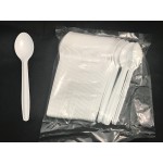 5" PLASTIC TEA SPOON (WHITE) (+-50'S) (20PKT/CTN)