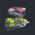 IPP 6 X 9 (LEAF-GREEN & YELLOW) (MIX FRUIT) (HEART RED)