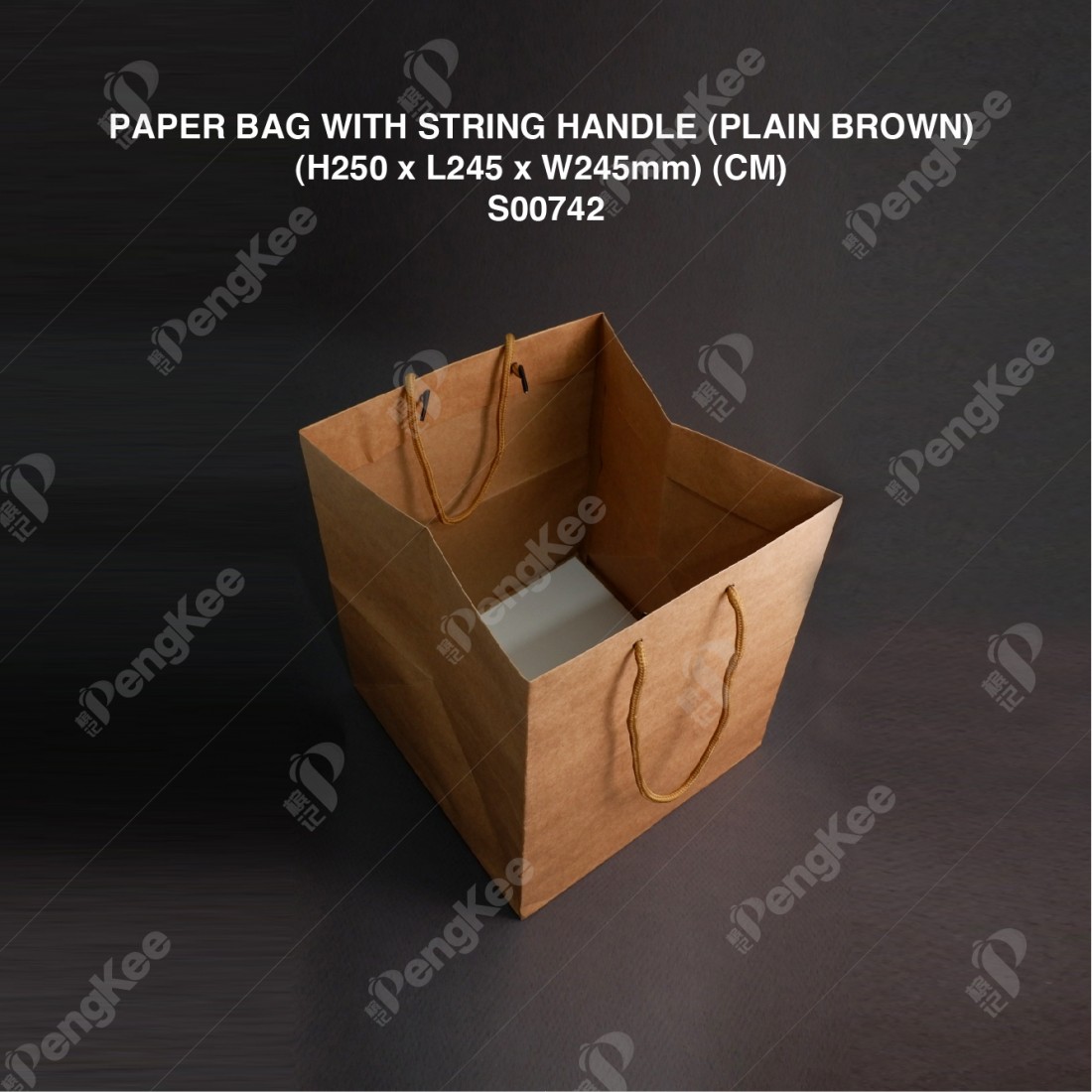 PAPER BAG WITH STRING HANDLE (PLAIN BROWN) (H250 x L245 x W245mm) (CM) (25'S) (8PKTCTN) 