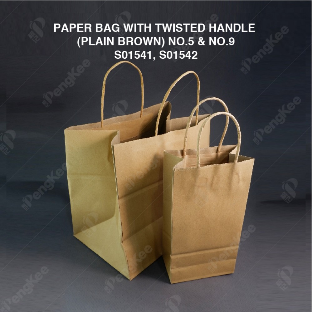 PAPER BAG WITH TWISTED HANDLE (PLAIN BROWN) NO.9 (H27 x L24 x W18cm) (CM) (25'S X 20PKT (500'S)/CTN)
