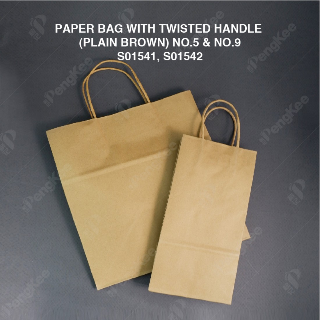 PAPER BAG WITH TWISTED HANDLE (PLAIN BROWN) NO.5 (H25 x L12 x W7.5cm) (CM) (25'S X 40PKT (1000'S)/CTN)