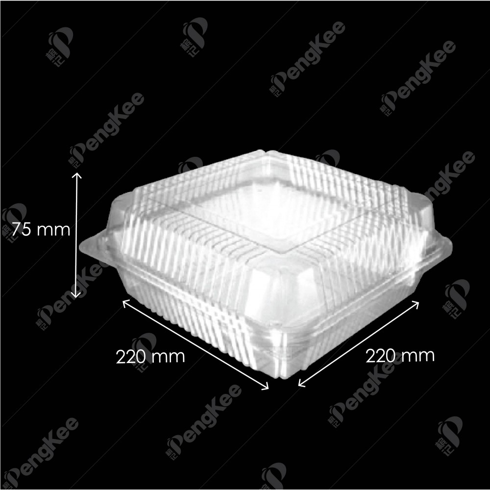 PLASTIC BOX OPS-L300 (L) (50'S)