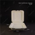 BO26 8" SUGARCANE LARGE BOX BO26 8" SUGARCANE LARGE BOX