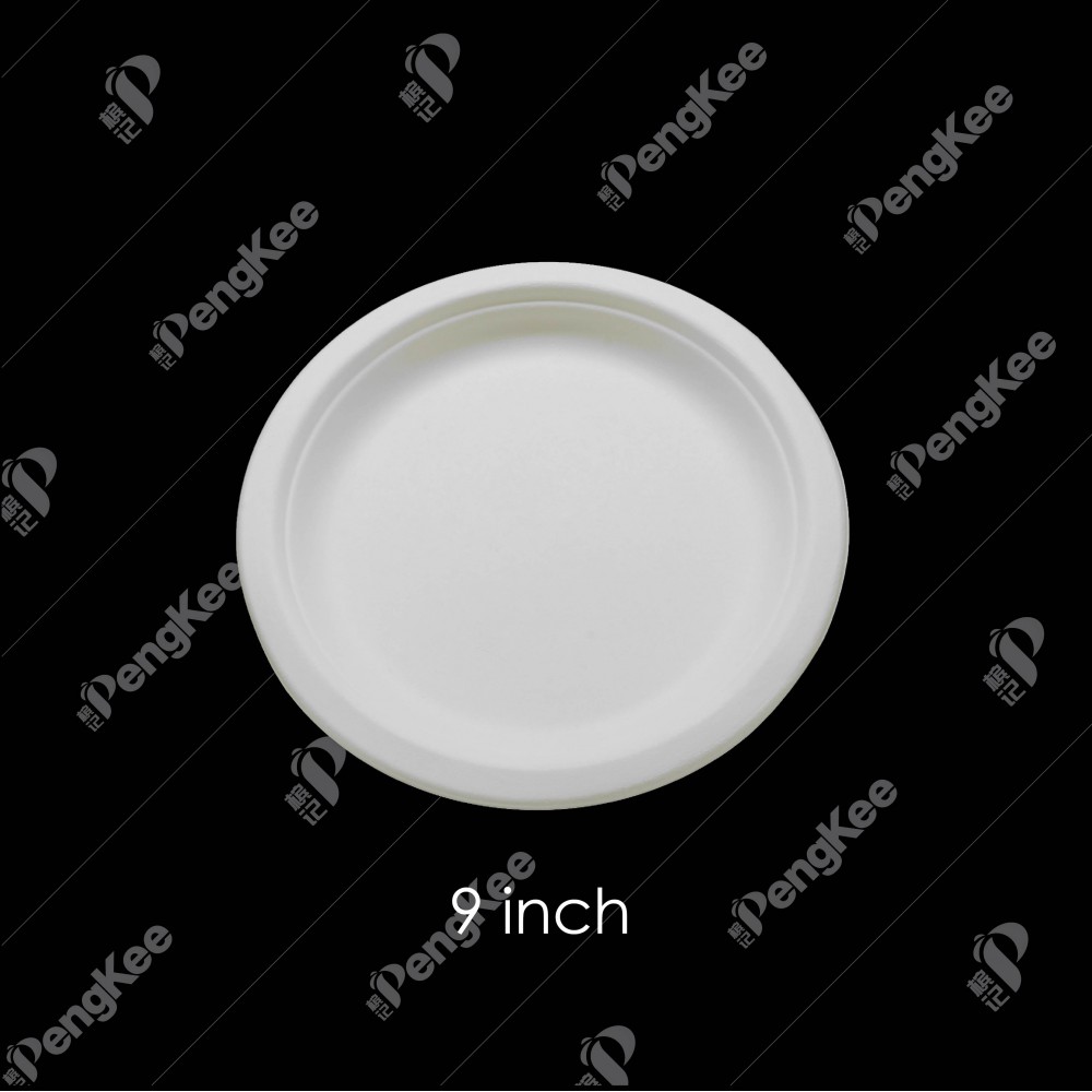PO13 9" SUGARCANE PLATE (WHITE) 50'S X 20PKT/CTN