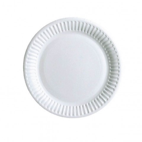 PAPER PLATE / TRAY