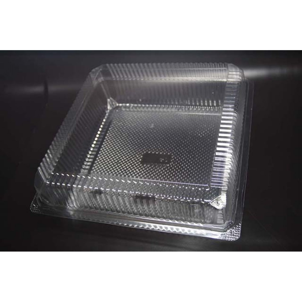 PLASTIC BOX BX-125 (10'S/PKT) (10PKT/CTN)