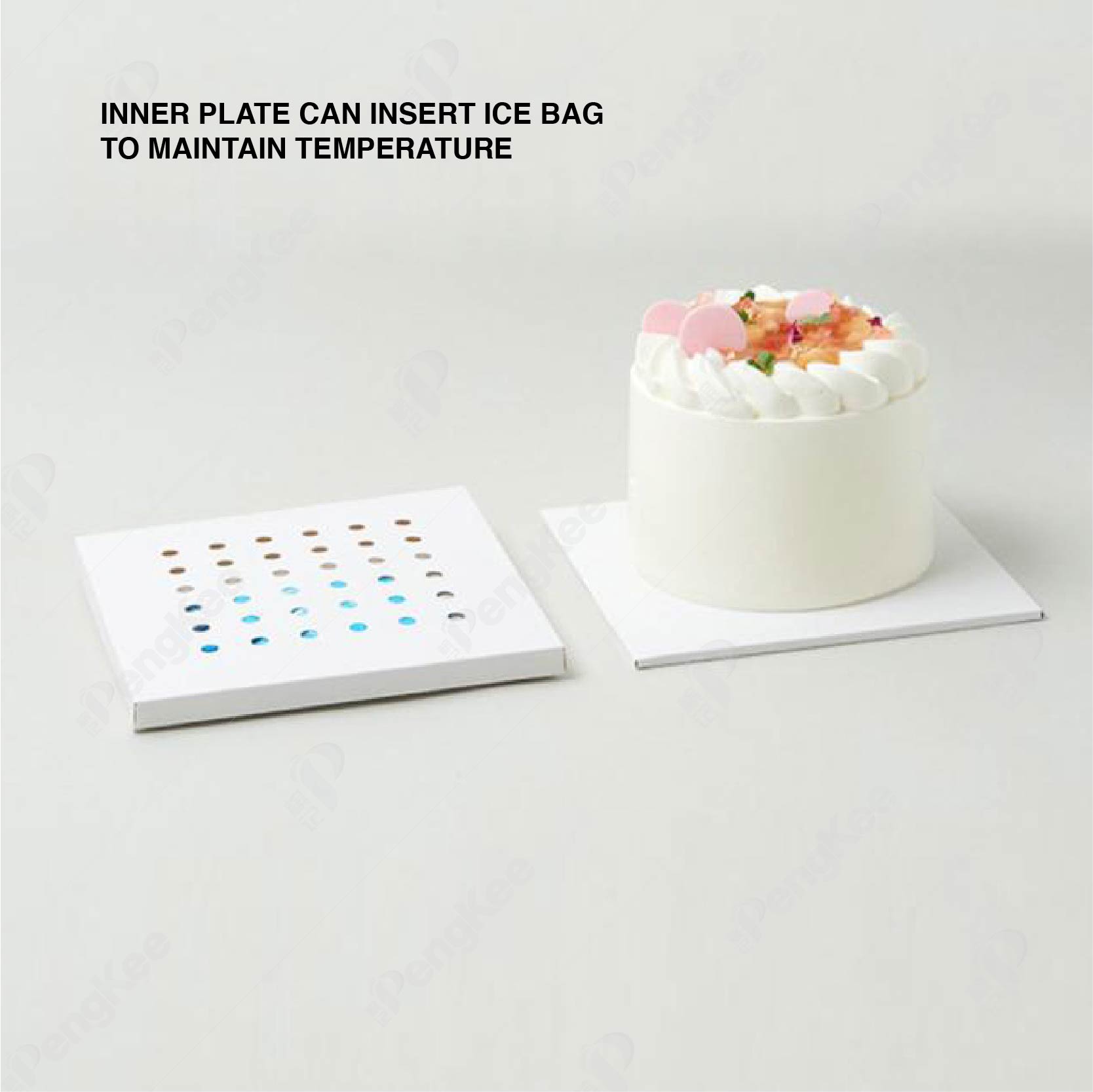 Spot 8 Inch CAKE BOX TRANSPARENT SQUARE ICE BAG