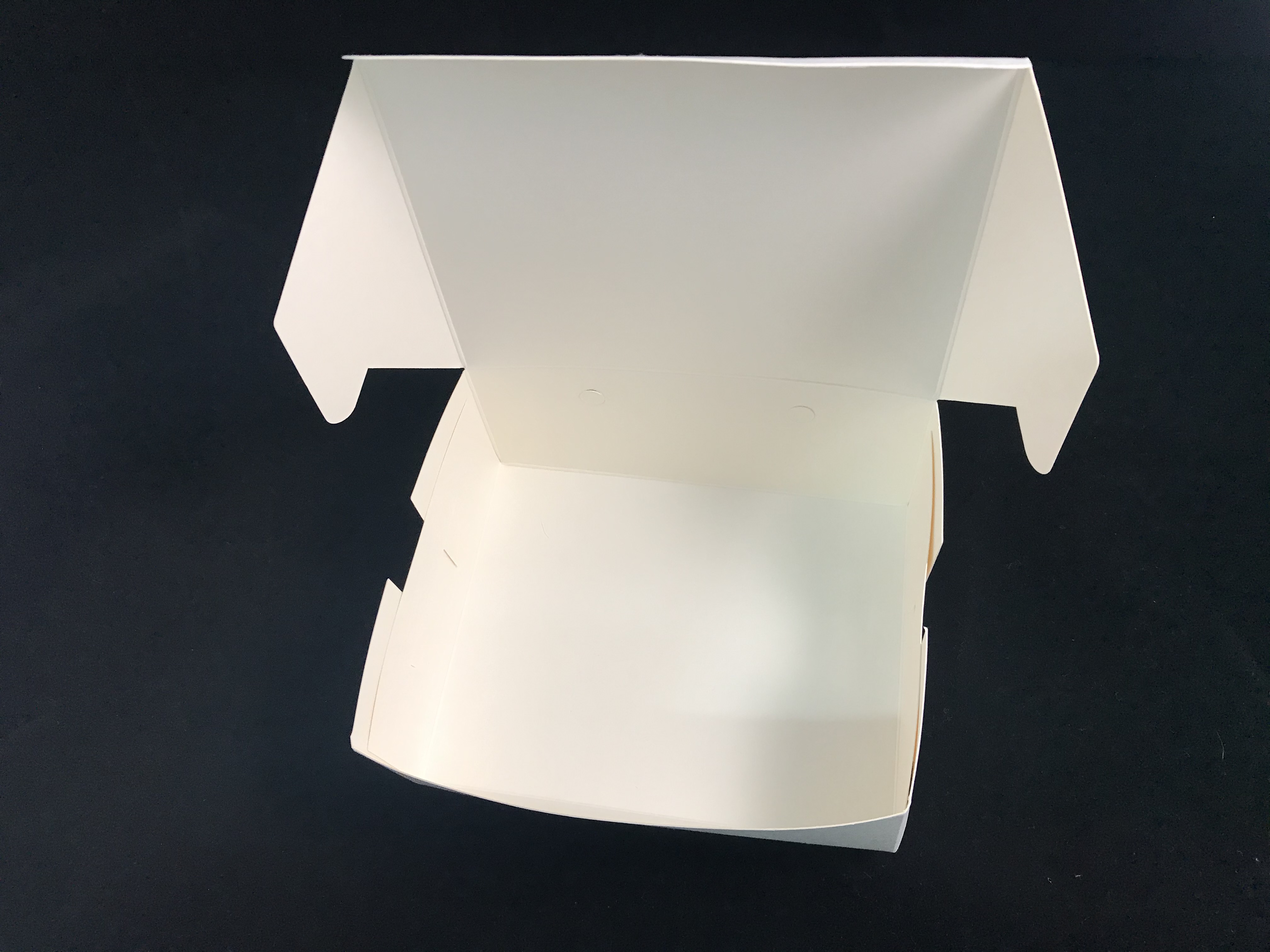 WESTERN FOOD PAPER BOXES (PLAIN) (100'S)