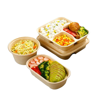 SUGARCANE LUNCH BOX