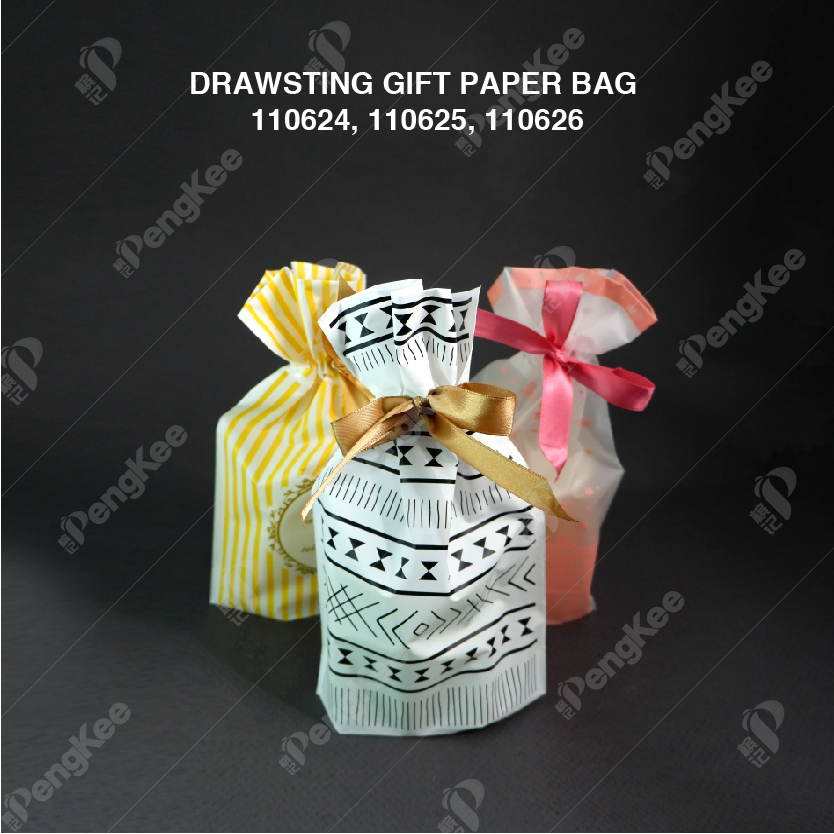 DRAWSTING GIFT PAPER BAG