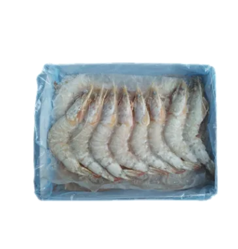 WHITE PRAWN 26/30 A (BO)