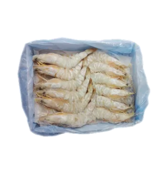 WHITE PRAWN 21/25 AA (BTH)