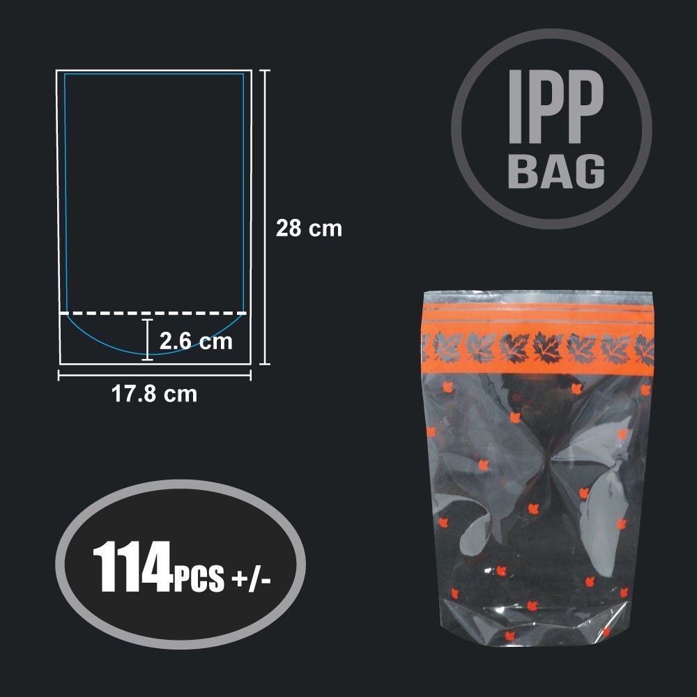 IPP GST 7 X 11 (MAPLE-ORANGE) (A) 