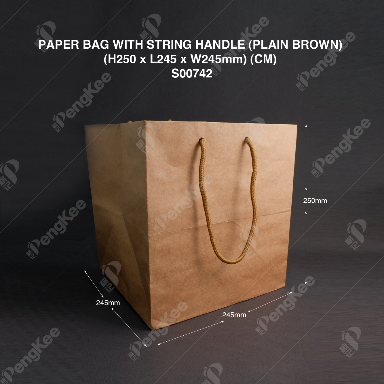PAPER BAG WITH STRING HANDLE (PLAIN BROWN) (H250 x L245 x W245mm) (CM) (25'S) (8PKTCTN) 