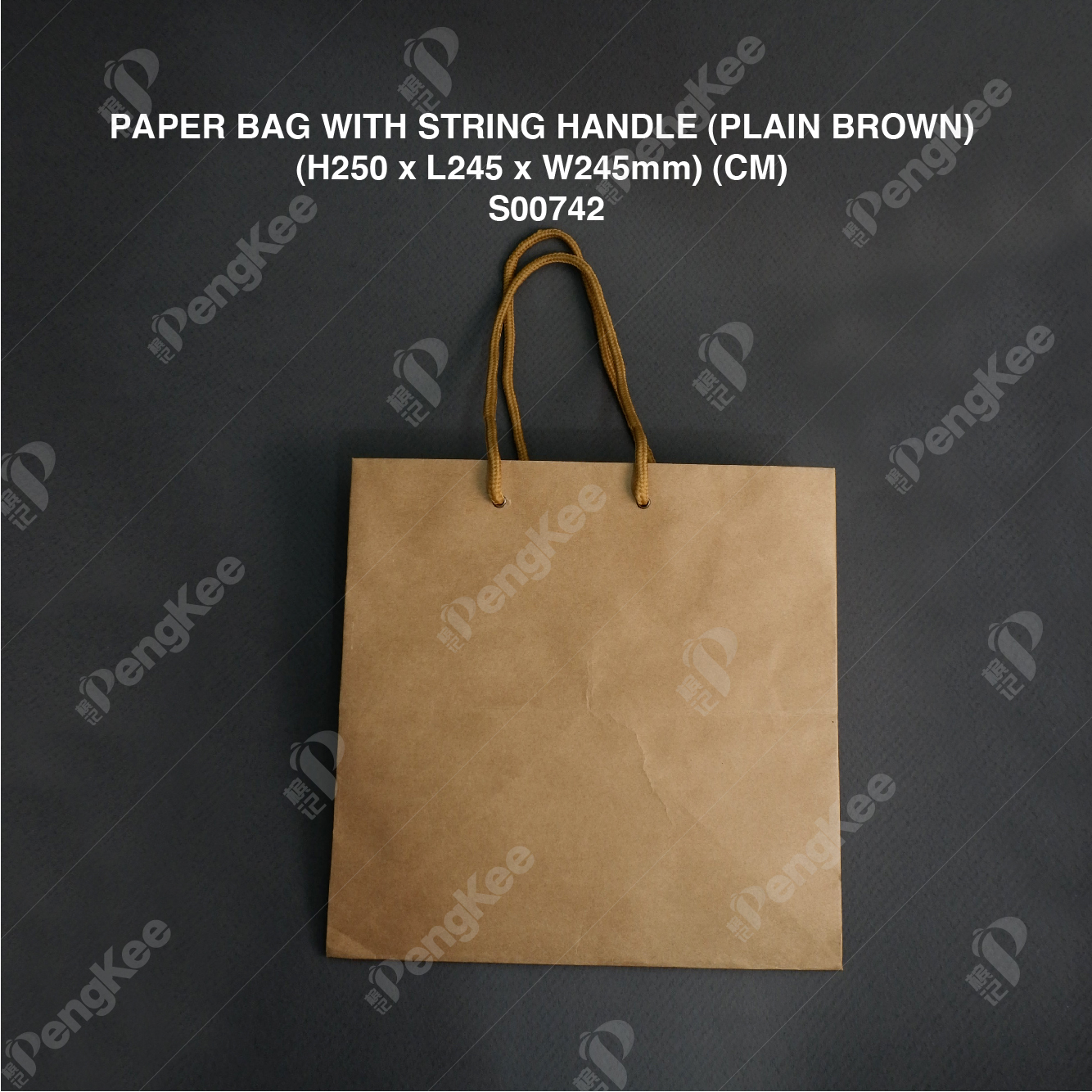 PAPER BAG WITH STRING HANDLE (PLAIN BROWN) (H250 x L245 x W245mm) (CM) (25'S) (8PKTCTN) 