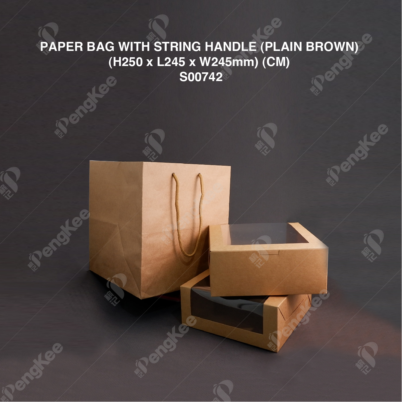 PAPER BAG WITH STRING HANDLE (PLAIN BROWN) (H250 x L245 x W245mm) (CM) (25'S) (8PKTCTN) 