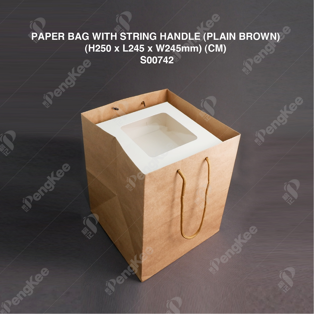PAPER BAG WITH STRING HANDLE (PLAIN BROWN) (H250 x L245 x W245mm) (CM) (25'S) (8PKTCTN) 