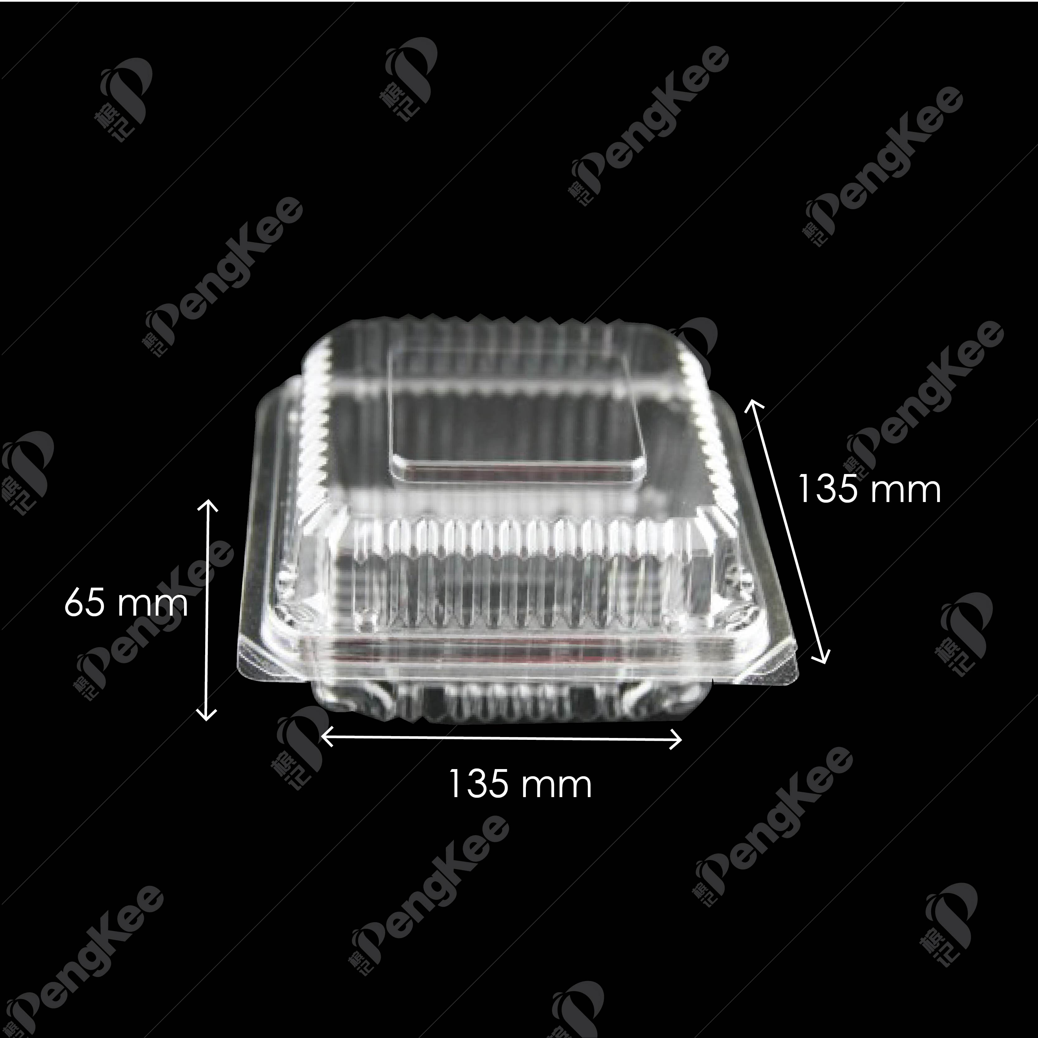 PLASTIC BOX OPS-C43 (100'S) (10PKT/CTN)