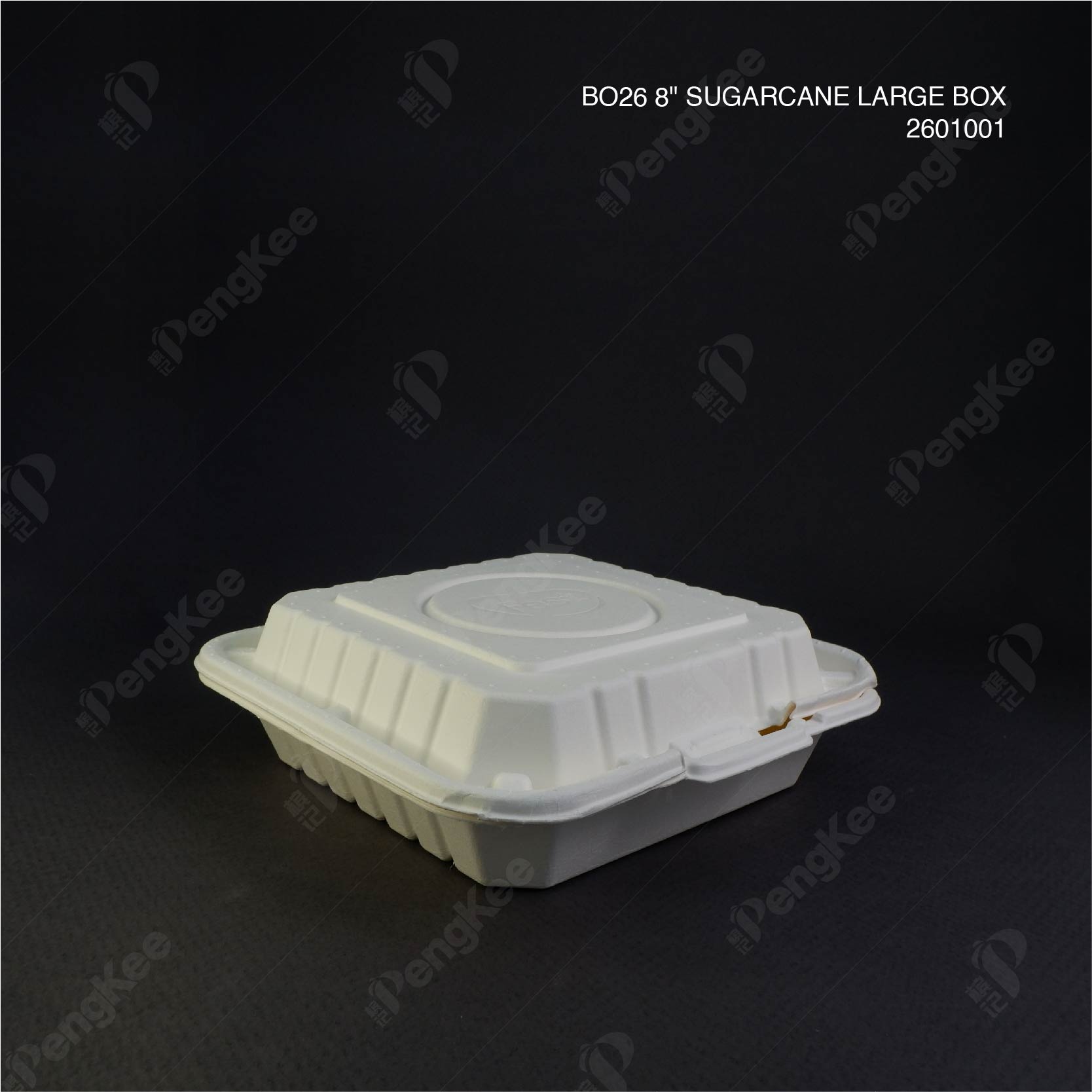 BO26 8" SUGARCANE LARGE BOX