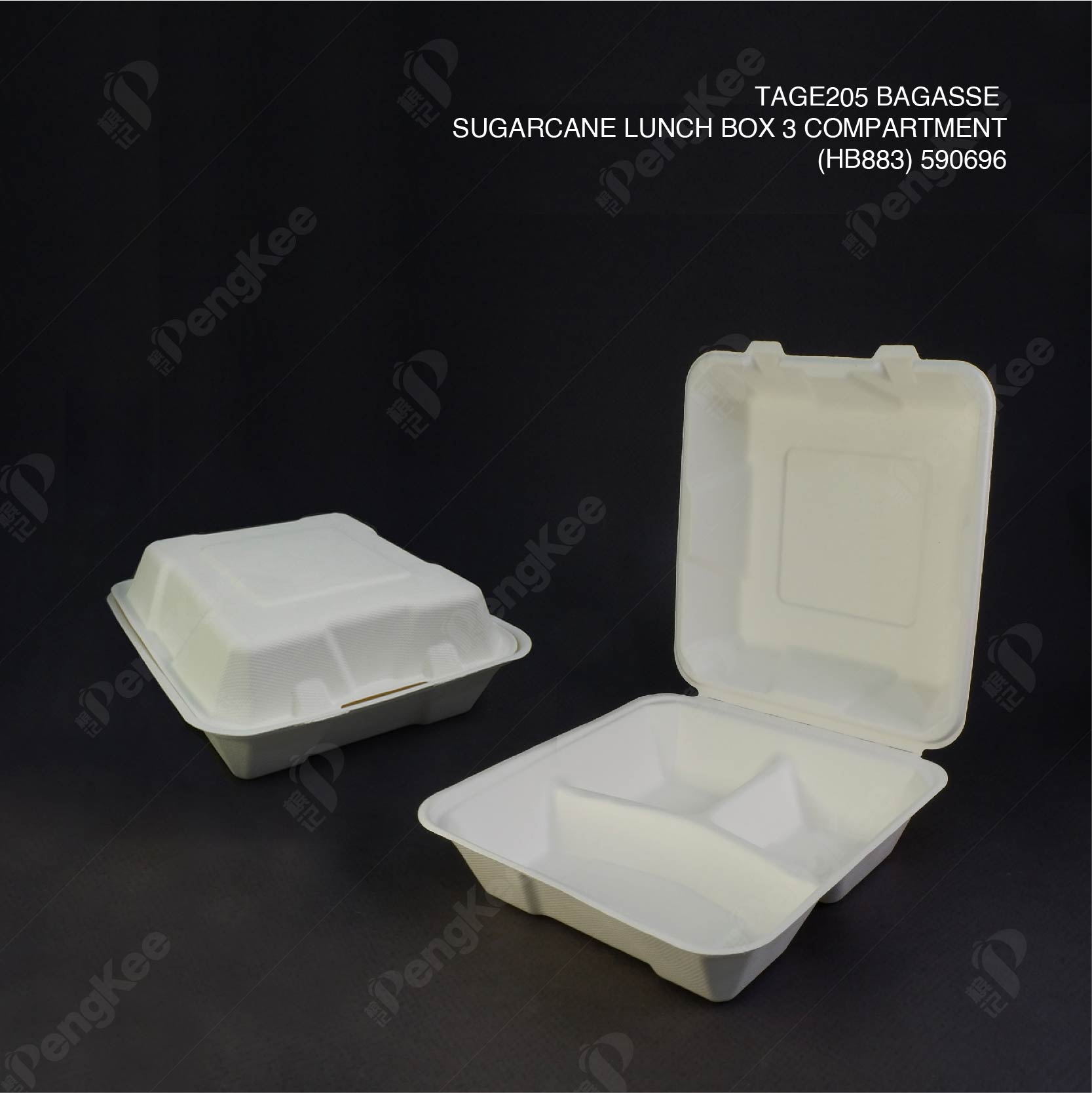 TAGE205 BAGASSE SUGARCANE LUNCH BOX 3 COMPARTMENT
