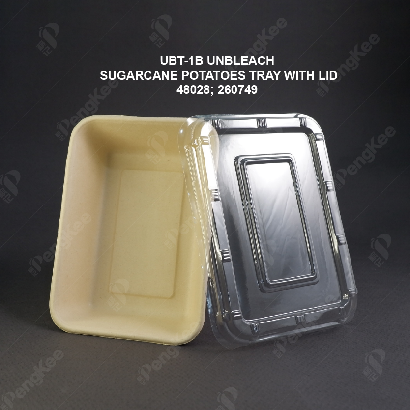 UBT-1B UNBLEACH-SUGARCANE-POTATOES-TRAY-WITH-LID 