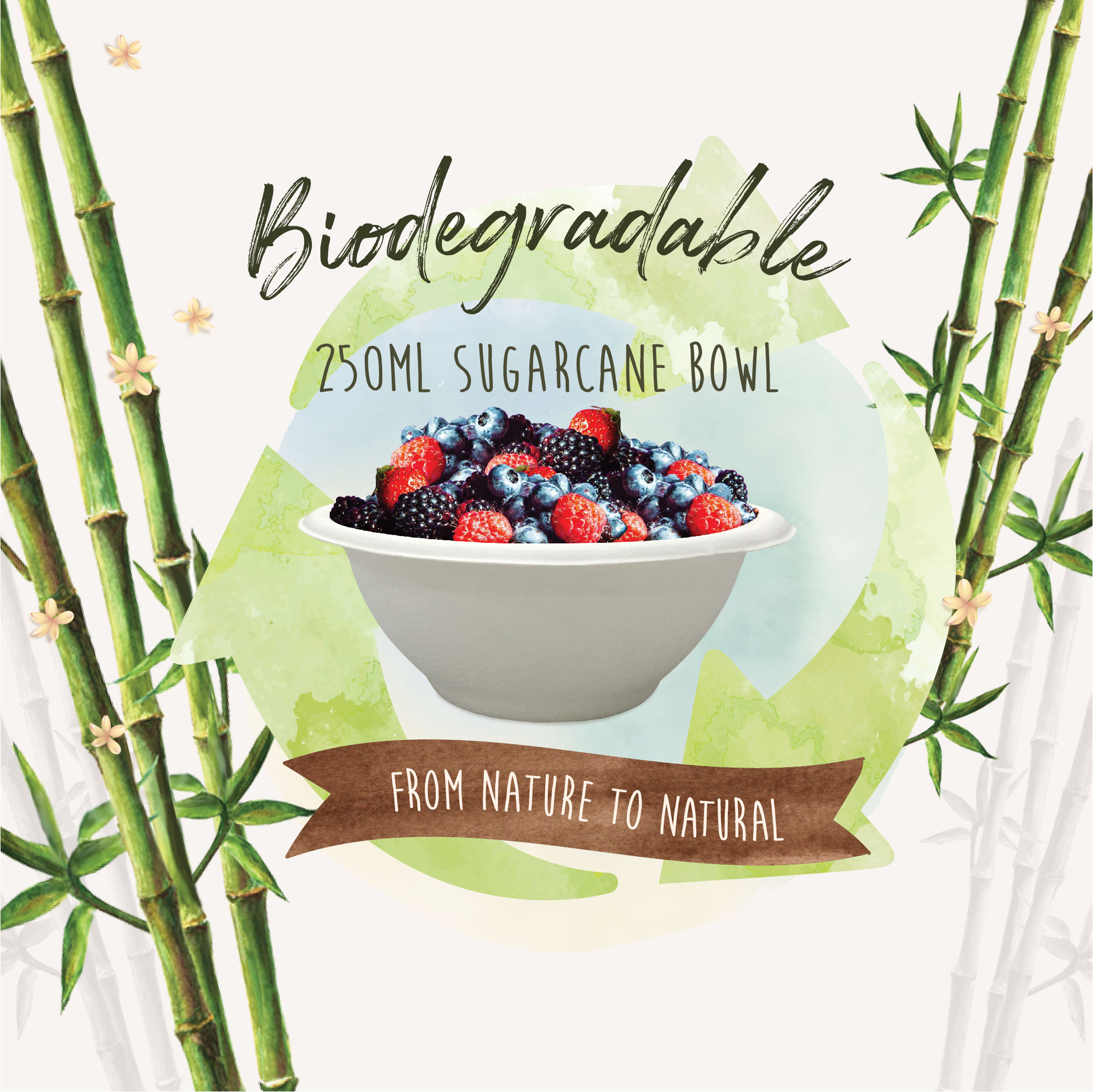 GL02 SUGARCANE BOWL 250ml (8oz) (50'S X 30PKT)