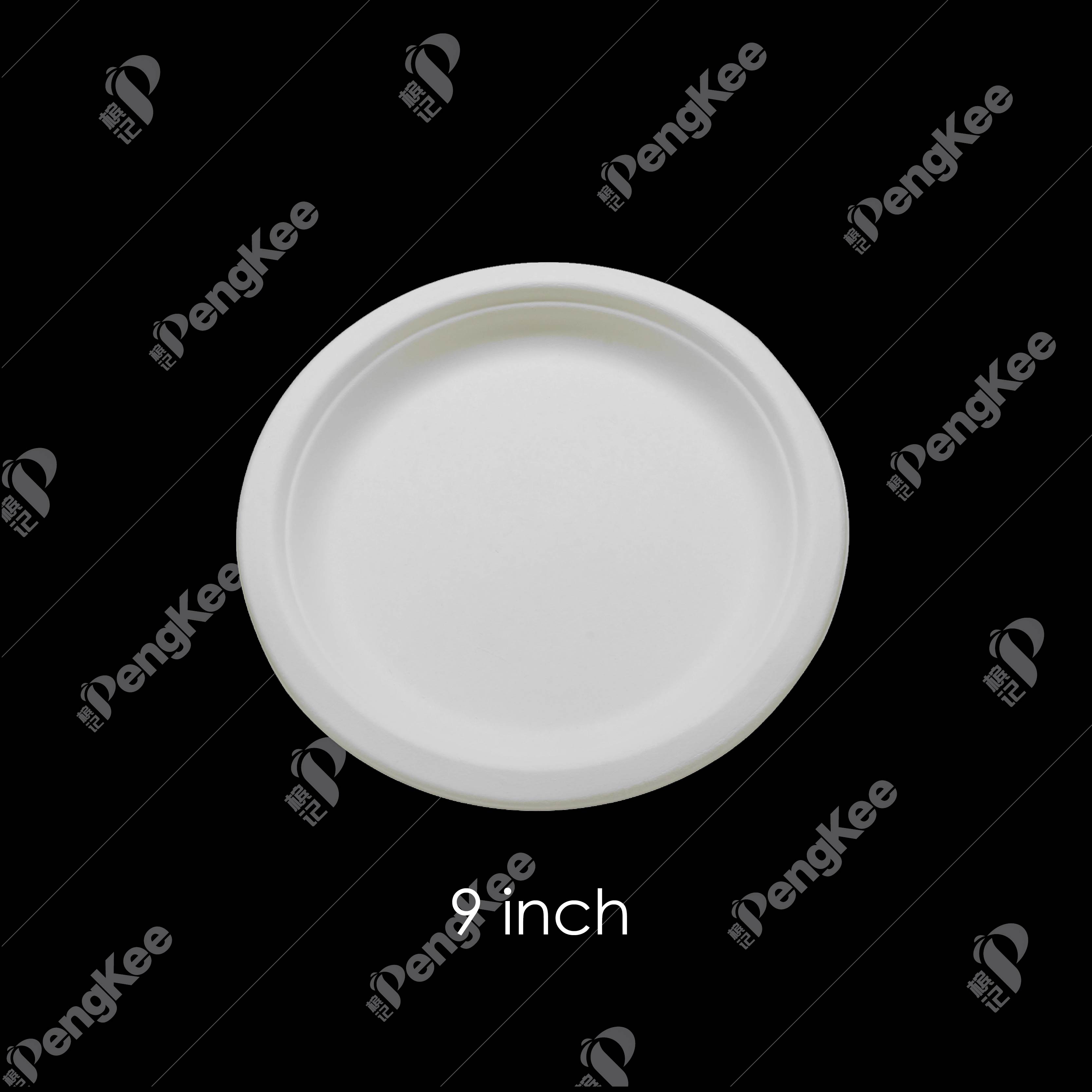 PO13 9" SUGARCANE PLATE (WHITE) 50'S X 20PKT/CTN