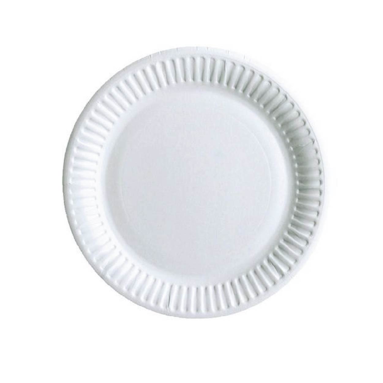 PAPER PLATE / TRAY